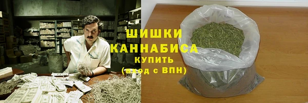 прущие грибы Балахна
