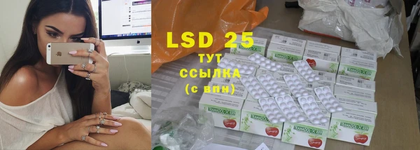 прущие грибы Балахна