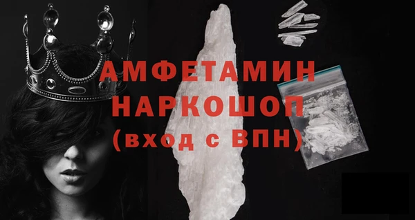 прущие грибы Балахна