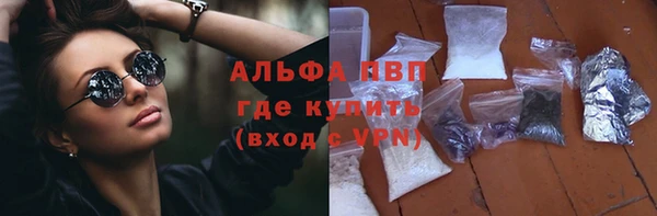 прущие грибы Балахна
