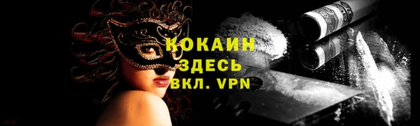 PSILOCYBIN Белокуриха