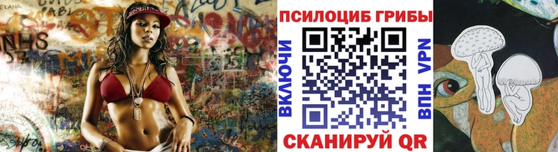 Галлюциногенные грибы Psilocybe  Рудня 